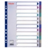 PRZEKŁADKA KOLOR A4 12 KART Z FOLII PP MULTICOLOR MAXI ESSELTE 20649