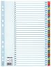 PRZEKŁADKA NUMERYCZNA 1-31 MYLAR ESSELTE 100164