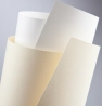 PAPIER WIZYTÓWKOWY 120g BIAŁE ZŁOTO