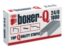 ZSZYWKI 24/6 BOXER