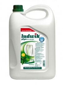 PŁYN DO NACZYŃ LUDWIK 5L