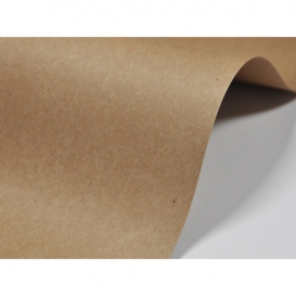 PAPIER A4 EKOLOGICZNY EKO KRAFT 250g (20)