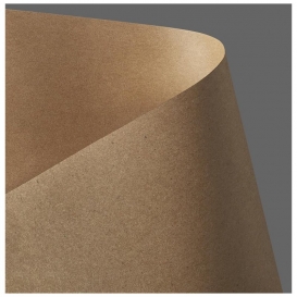 PAPIER WIZYTÓWKOWY 230g KRAFT CIEMNO-BEŻOWY (20)