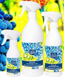KALA CHANTI OLEJEK ZAPACHOWY CZARNY WINOGRON Z KIWI 500ml