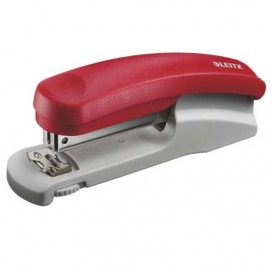 ZSZYWACZ LEITZ 5500 (30k)